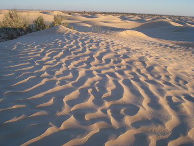 Dunes